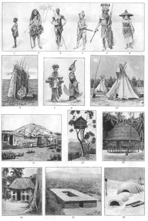 Ethnographie. I. 1. Akka-M�dchen (Zentralafrika). 2. Wedda mit Lendenschurz aus Bl�ttern (Ceylon). 3. Bajansi (Kongo). 4. Kajan-Dajak-M�dchen in M�nnerkleidung, zum Tanze gehend (Borneo). 5. Alfuren-H�uptling im Kriegsschmuck (Ostflores). 6. Schan-M�dchen (Hinterindien). 7. Malaiische Braut (Sumatra). 8. Birmanische Prinzessin. 9. Windschirm der Pueblo-Indianer (Tusayan, Nordamerika). 10. Zelte der Omaha (Nebraska). 11. Jurte der Katschinzen aus Birkenrinde (Ostsibirien). 12. Wacht- und Zufluchtshaus der Koiari (Britisch-Neuguinea). 13. Runder Pfahlbau (H�uptlingsh�tte) auf Condul Island, Gross-Nikobar. 14. Haus der Ewe in Dalawe (S�dtogo). 15. Tembe in Ugogo (Deutsch-Ostafrika). 16. Schneehaus der Eskimo (Baffinland, Davisstr.).