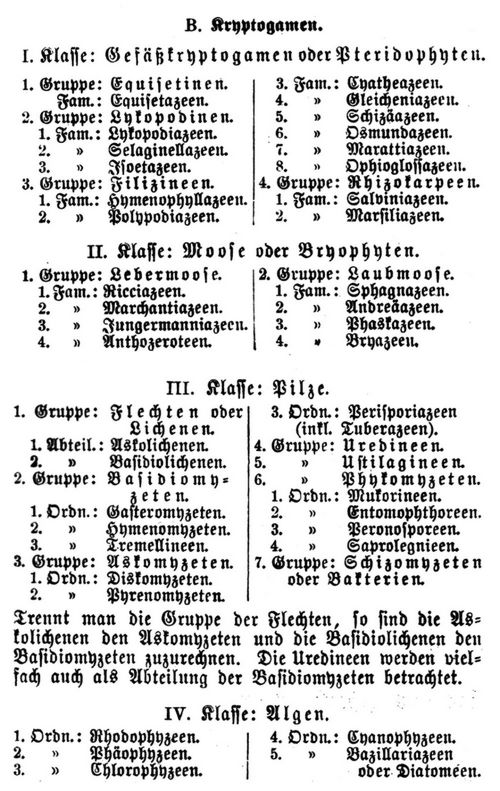 Botanik. B. Kryptogamen.