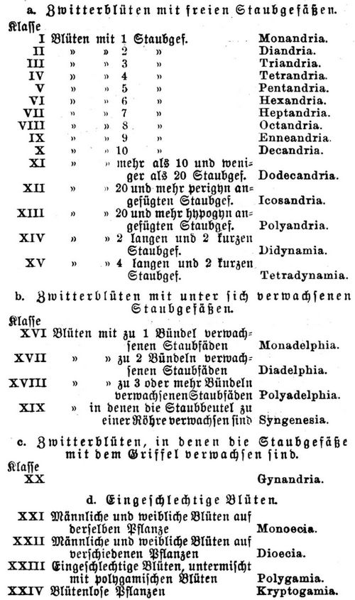 Botanik. Charakteristik der einzelnen Klassen.