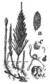 bk10523e