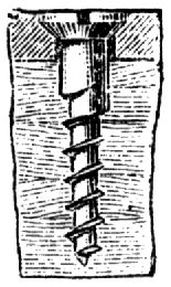 1667. Holzschraube.