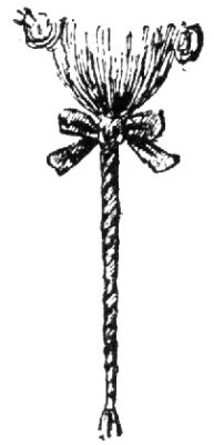 1991. Zopf.