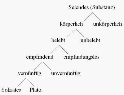Porphyrischer Baum