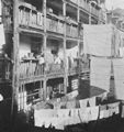Riis, Jacob A.: Die R�ckseite eines alten Mietwohnhauses auf der Roosevelt Street