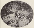 Albert, Joseph: Die k�niglichen Prinzen auf Bergtour