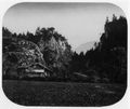Maenedorf, Traugott Richard: Landschaft