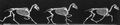 Muybridge, Eadweard: Einige Phasen im schnellen Trott eines Pferdes