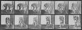Muybridge, Eadweard: Sich umdrehende Tigerin (1.19 Sekunden)