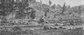 O'Sullivan, Timothy H.: Gettysburg, Little Round Top