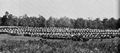 O'Sullivan, Timothy H.: Brandy Station, Virginia, Wagenlager der Armee vom Potomac