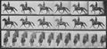 Muybridge, Eadweard: Pronto mit Reiter (0.59 Sekunden)