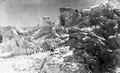 Gebr�der Bisson: Gletscher im Hochgebirge  Aufstieg an einem Seil