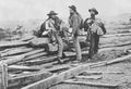 O'Sullivan, Timothy H.: Gettysburg, konf�derierte Gefangene