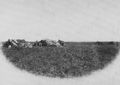 Panunzi, Benito: In der Pampa