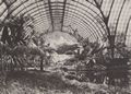 Albert, Joseph: M�nchen, Residenz  Wintergarten K�nig Ludwigs II., nach Osten