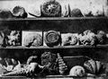 Daguerre, Louis Jacques Mand�: Anordnung von Muscheln