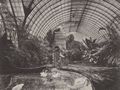 Albert, Joseph: M�nchen, Residenz  Wintergarten K�nig Ludwigs II., nach Westen