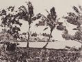 Viaud, Gustave: Tahiti