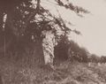 Atget, Eug�ne: Historische St�tten, Terminuss�ule in Sceaux
