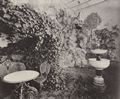 Albert, Joseph: Bayerische K�nigsschl�sser, Neuschwanstein  Wintergarten in der Wohnung des K�nigs