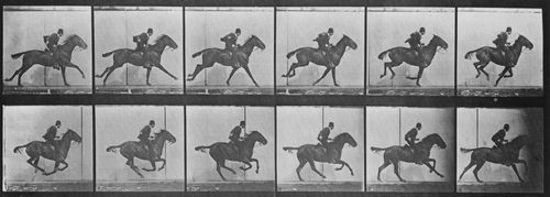 Muybridge, Eadweard: Daisy mit Reiter
