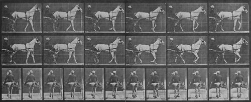 Muybridge, Eadweard: Katydid mit Sulky (0.62 Sekunden)