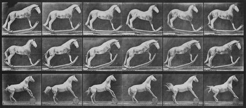 Muybridge, Eadweard: a.) Eagle schaukelnd b.) rollt einen Balken