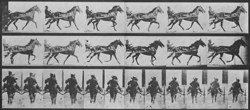 Muybridge, Eadweard: Pornto mit Sulky (0.74 Sekunden)