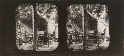 Krone, Hermann: Die Weltausstellung in Paris
