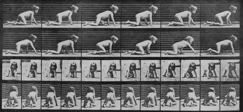 Muybridge, Eadweard: Krabbelndes gesundes Kind