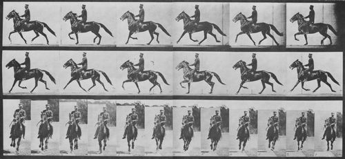 Muybridge, Eadweard: Pronto mit Reiter (0.59 Sekunden)
