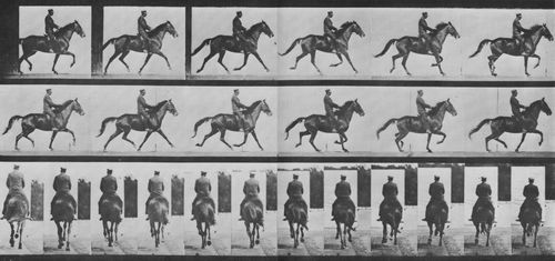 Muybridge, Eadweard: Beauty mit Reiter (0.52 Sekunden)