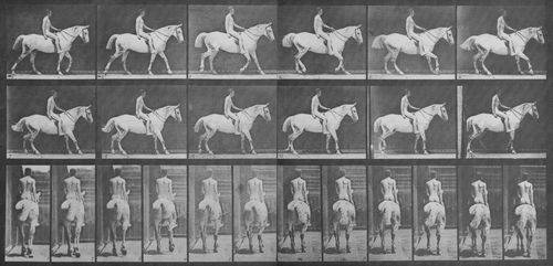 Muybridge, Eadweard: Smith mit Reiter (0.82 Sekunden)