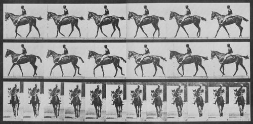 Muybridge, Eadweard: Annie G. mit Jockey (0.44 Sekunden)