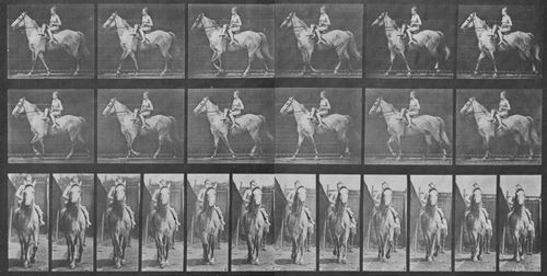 Muybridge, Eadweard: Tom mit Ritter (1.02 Sekunden)