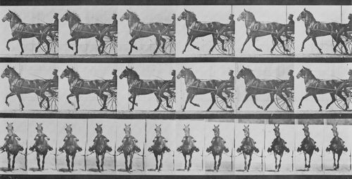 Muybridge, Eadweard: Dercum mit Sulky (0.47 Sekunden)