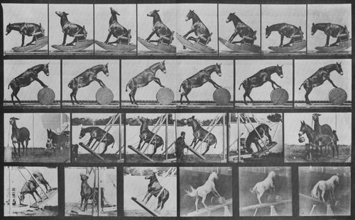 Muybridge, Eadweard: Denver macht verschiedene Kunstst�cken