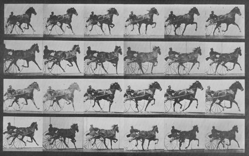 Muybridge, Eadweard: Nellie Rose mit Sulky (0.47 Sekunden)