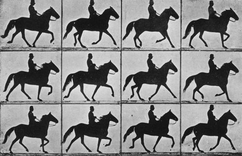 Muybridge, Eadweard: Ein Schritt nach vorn in elf Phasen