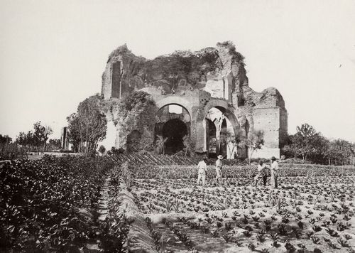 Altobelli und Molins: Ruine des sogenannten Tempels der Minerva Medica