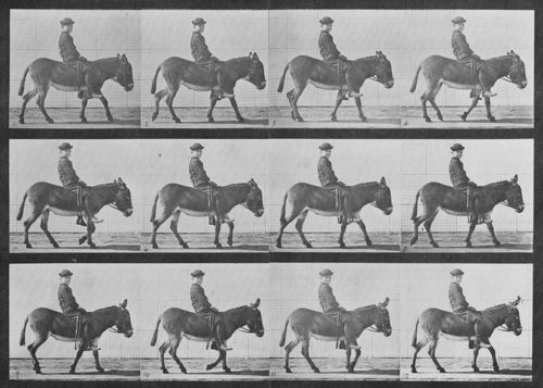 Muybridge, Eadweard: Jennie mit Reiter gehend (0.94 Sekunden)