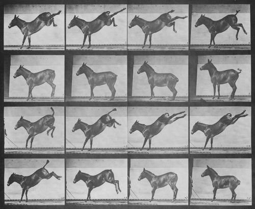 Muybridge, Eadweard: a.) Ruth ausschlagend (0.26 Sekunden) b.) Ruth ausschlagend (0.65 Sekunden)