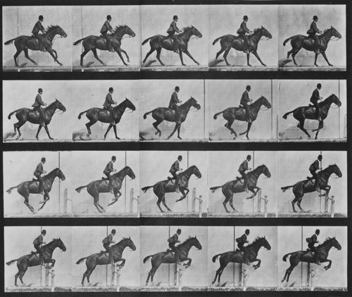 Muybridge, Eadweard: Daisy �berspringt eine H�rde