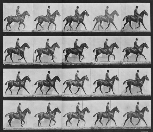 Muybridge, Eadweard: Daisy mit Reiter