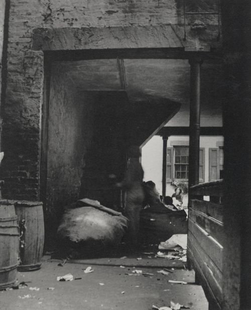 Riis, Jacob A.: »Bogen unter dem Mietshaus auf der 55 Baxter Street. F�hrt zu den Treppen die Vinenzo Nino hinaufstieg, als er 1895 seine Frau ermordete«