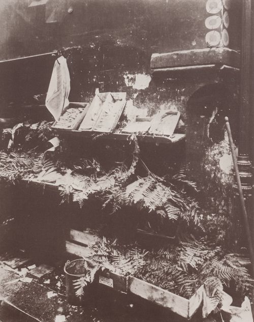Atget, Eug�ne: L�den und Auslagen, Fischh�ndler an der Ecke Rue Daubenton-Rue Mouffetard