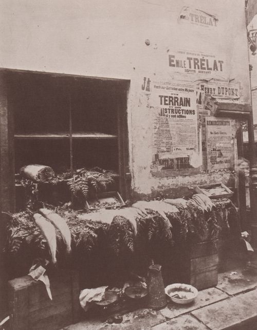 Atget, Eug�ne: Leben und Arbeitswelt, Fischh�ndler