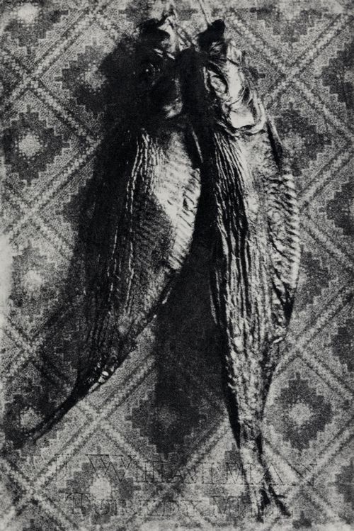 Le Secq, Henri: »Stilleben mit Fischen«