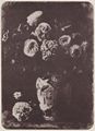 Le Secq, Henri: Blumenvase, photographische Phantasie