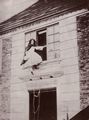 Carrol, Lewis: Alice Jane Donkin
